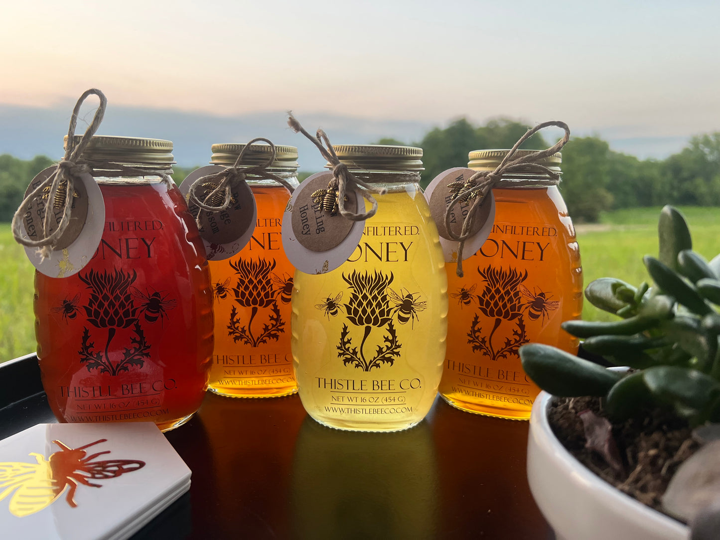 Thistle Bee Co. Honey Club